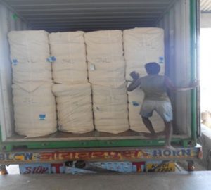 Opened Containers door and Raw cotton bale to bale Inspection