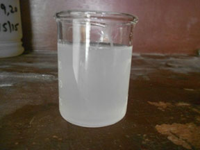 Result- Solubility test - 50% material + 50%water   