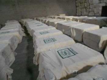 Raw cotton bale container loading inspection-Weight on Weigh Bridge and
